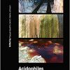 Acidophiles: Life in Extremely Acidic Environments-Original PDF