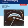Minimally Invasive Glaucoma Surgery: A Practical Guide-EPUB