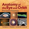 Anatomy of the Eye and Orbit: The Clinical Essentials None ed. Edition-EPUB