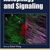 Autophagy and Signaling (Methods in Signal Transduction Series)-Original PDF