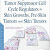Inflammatory Markers, Oncogenes, Tumor Suppressor Cell Cycle Regulators in Skin Growths, Pre-skin Tumors and Skin Tumors-Original PDF