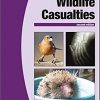 BSAVA Manual of Wildlife Casualties (BSAVA British Small Animal Veterinary Association) 2nd edition-Original PDF