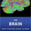 The Brain: What Everyone Needs To Know®-Original PDF