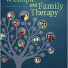Diversity in Couple and Family Therapy: Ethnicities, Sexualities, and Socioeconomics-Original PDF