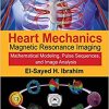 Heart Mechanics: Magnetic Resonance Imaging―Mathematical Modeling, Pulse Sequences, and Image Analysis (Volume 1)-EPUB