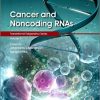 Cancer and Noncoding RNAs, Volume 1 (Translational Epigenetics)-Original PDF