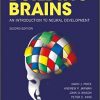 Building Brains: An Introduction to Neural Development (New York Academy of Sciences)-EPUB