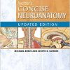 Netter’s Concise Neuroanatomy Updated Edition, 1e (Netter Clinical Science)-Original PDF