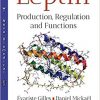 Leptin: Production, Regulation and Functions-Original PDF