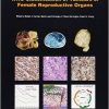 WHO Classification of Tumours of the Female Reproductive Organs (IARC WHO Classification of Tumours)-Original PDF