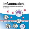 Inflammation, 4 Volume Set: From Molecular and Cellular Mechanisms to the Clinic-EPUB