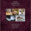 Animal Locomotion: Physical Principles and Adaptations-Original PDF