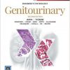 Diagnostic Pathology: Genitourinary, 2nd Edition -Original PDF (low Quaity)