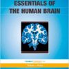Essentials of the Human Brain: With STUDENT CONSULT Online Access, 1e-Original PDF