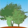 The American Glaucoma Society : Its founding and first 25 Years-Original PDF