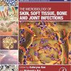 The Microbiology of Skin, Soft Tissue, Bone and Joint Infections, Volume 2 (Clinical Microbiology Diagnosis, treatment and prophylaxis of infections)-Original PDF