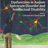Neuronal and Synaptic Dysfunction in Autism Spectrum Disorder and Intellectual Disability-Original PDF