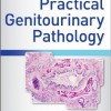 Atlas of Practical Genitourinary Pathology – Original PDF