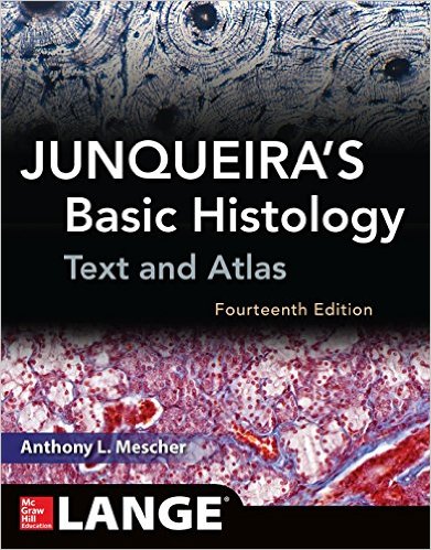Junqueira’s Basic Histology: Text and Atlas, Fourteenth Edition 14th Edition – EPUB