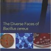 The Diverse Faces of Bacillus Cereus – Original PDF