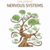 Evolution of Nervous Systems, Second Edition 2nd Edition – Original PDF