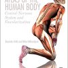 Atlas of the Human Body: Central Nervous System and Vascularization 1st Edition – Original PDF