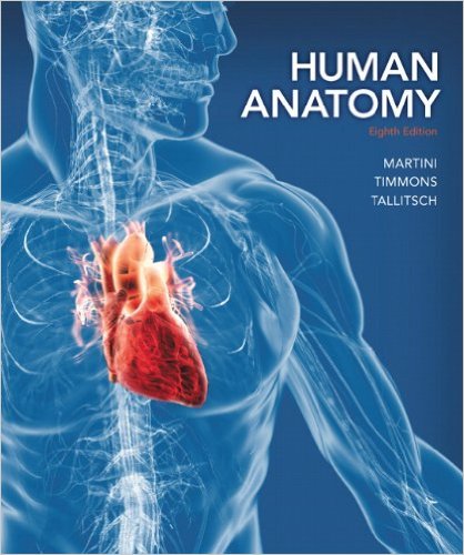Human Anatomy 8th Edition – Original PDF