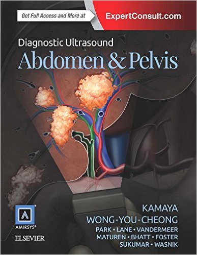 Diagnostic Ultrasound: Abdomen and Pelvis – Original PDF