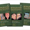 The Netter Collection of Medical Illustrations: Digestive System 2nd Edition – PDF