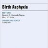 Birth Asphyxia, An Issue of Clinics in Perinatology, 1e (The Clinics: Internal Medicine)-Original PDF