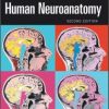 Human Neuroanatomy – Original PDF