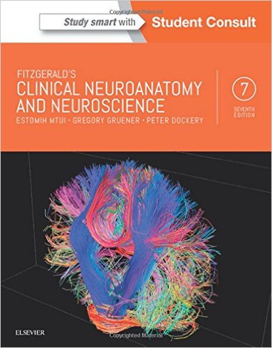 Fitzgerald’s Clinical Neuroanatomy and Neuroscience, 7e – Original PDF