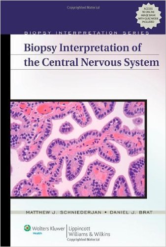 Biopsy Interpretation of the Central Nervous System (Biopsy Interpretation Series) – Original PDF