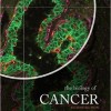 The Biology of Cancer, 2nd Edition – Original PDF