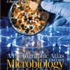 A Photographic Atlas for the Microbiology Laboratory 4th Edition – Original PDF