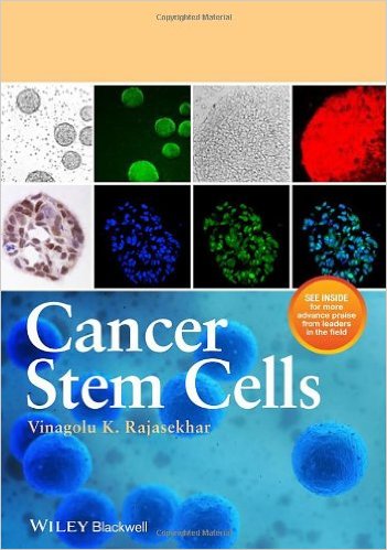 Cancer Stem Cells – Original PDF