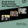 Blackwell’s Five-Minute Veterinary Consult Clinical Companion: Small Animal Endocrinology and Reproduction 1st Edition – Original PDF