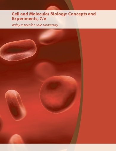Cell And Molecular Biology Concepts And Experiments Pdf
