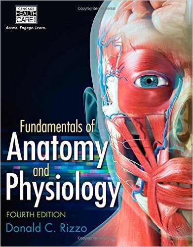 Fundamentals of Anatomy and Physiology 4th Edition – Original PDF