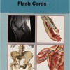 Netter’s Musculoskeletal Flash Cards Updated Edition (Publisher Version PDF)