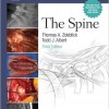 Master Techniques in Orthopaedic Surgery: The Spine Third Edition – Original PDF