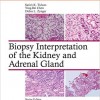 Biopsy Interpretation of the Kidney & Adrenal Gland – EPUB