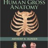 Human Gross Anatomy – High Quality PDF