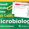 Lippincott Illustrated Reviews Flash Cards: Microbiology – Original PDF