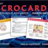 Lippincott Microcards Microbiology Flash Cards Fourth Edition – Original PDF