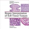 Biopsy Interpretation of Soft Tissue Tumors (Biopsy Interpretation Series) Second Edition – EPUB