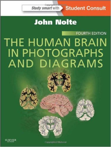 The Human Brain in Photographs and Diagrams, 4e – Original PDF