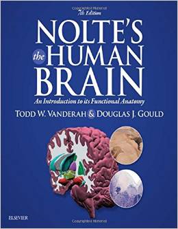Nolte’s The Human Brain An Introduction to its Functional Anatomy, 7e – Original PDF