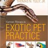 Current Therapy in Exotic Pet Practice – EPUB