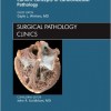 Current Concepts in Cardiovascular Pathology, An Issue of Surgical Pathology Clinics, 1e – Original PDF